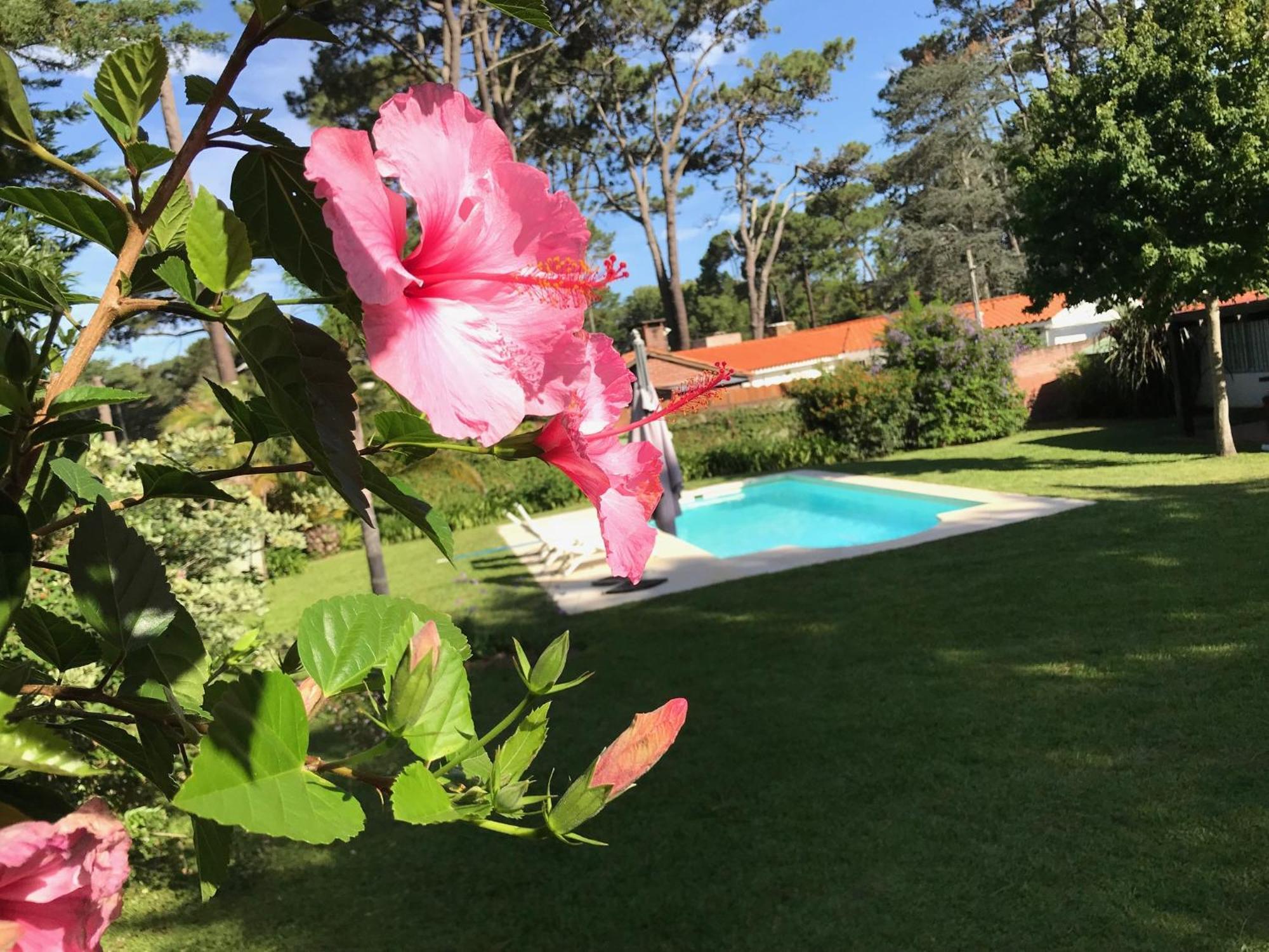 El Gauchito Villa Punta del Este Exterior foto